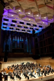 conducting-shots-18